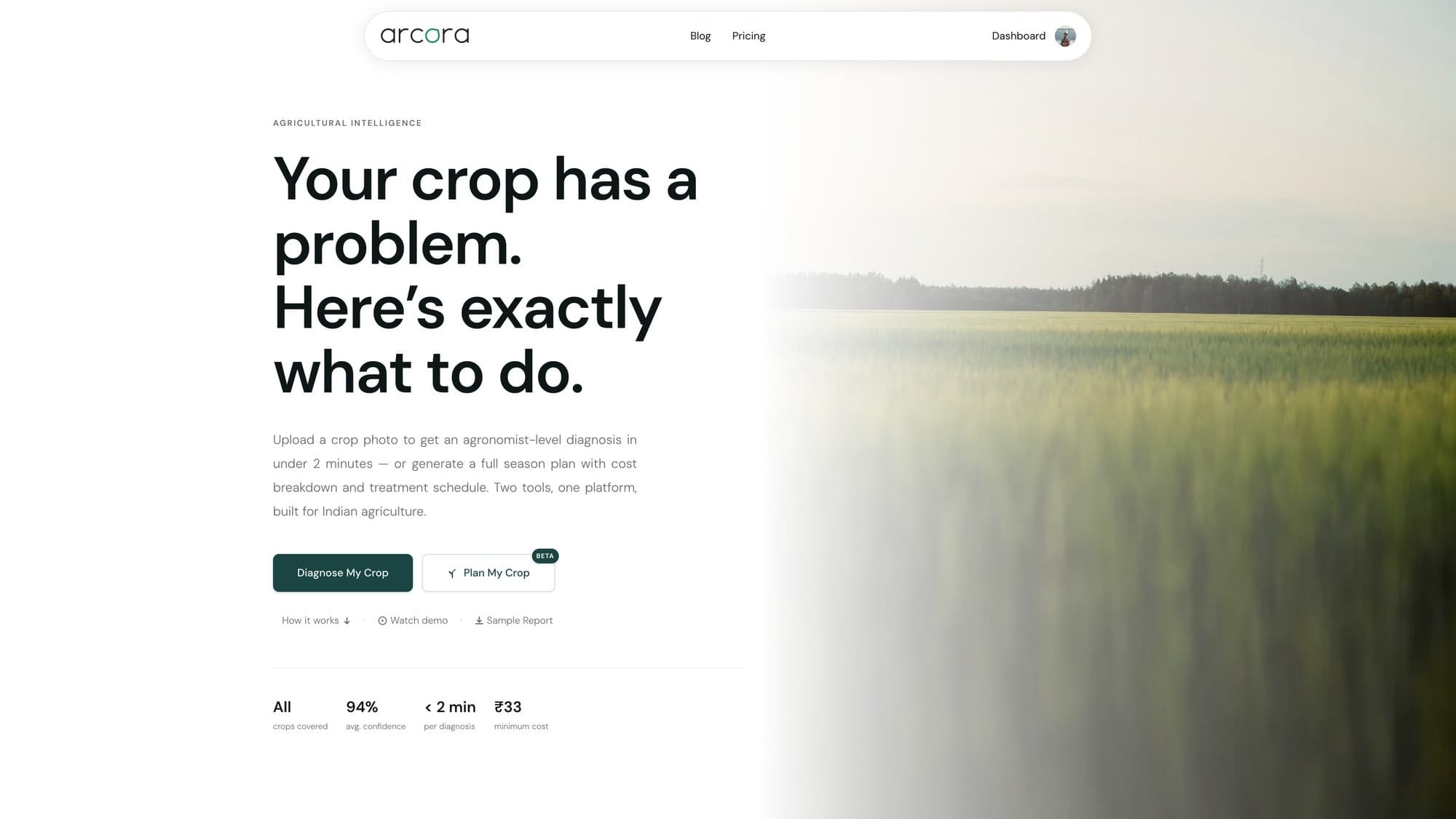 The ARCORA site — upload a crop photo for an agronomist-level diagnosis